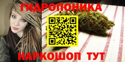 мдпв Будённовск