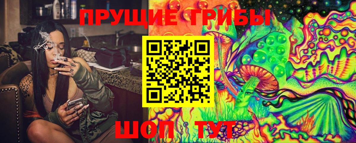 Псилоцибиновые грибы Psilocybe  наркота  Пушкино  Вход с VPN 