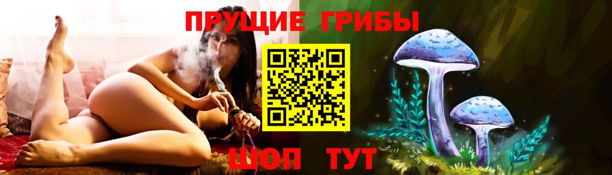 Галлюциногенные грибы MAGIC MUSHROOMS Пушкино
